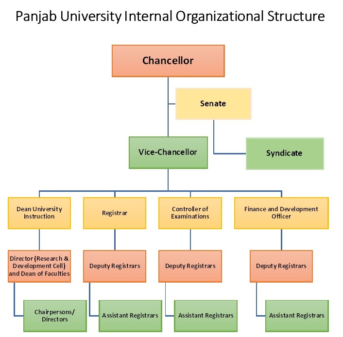 Panjab University Organizational Structure Organogram